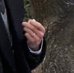 左手無名指上的戒指超吸睛