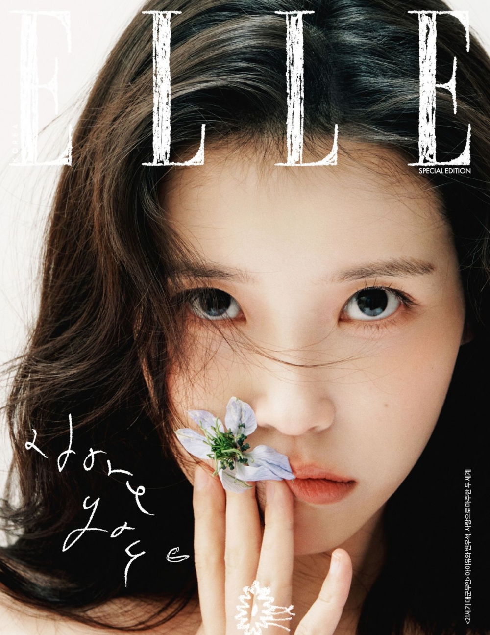 ：他真的是一位非常可靠的夥伴