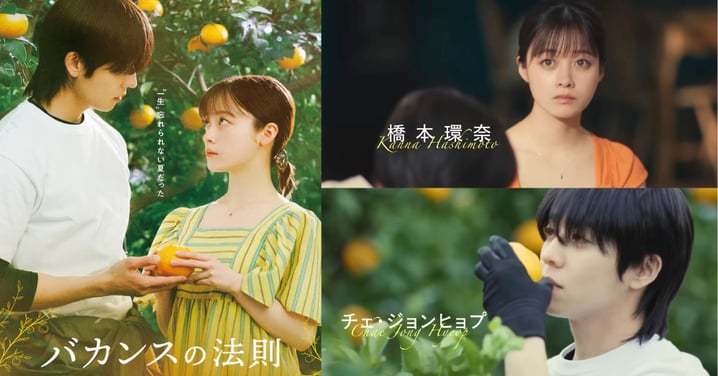 蔡鍾協♥橋本環奈合作日劇《假期的法則》34cm身高差太好嗑