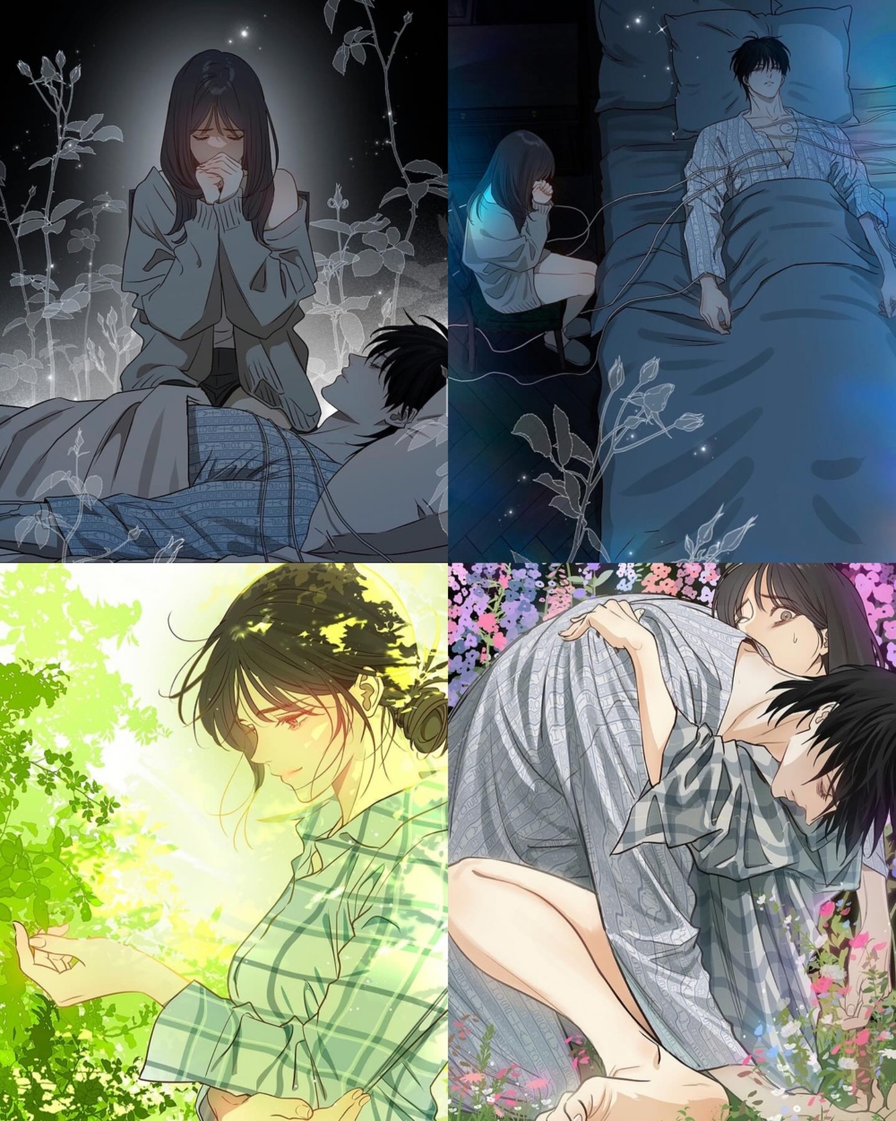 《花是誘餌》
