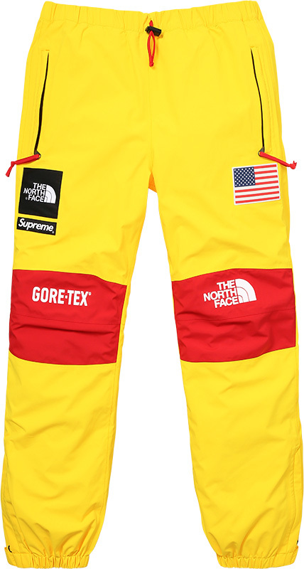 gore tex supreme north face