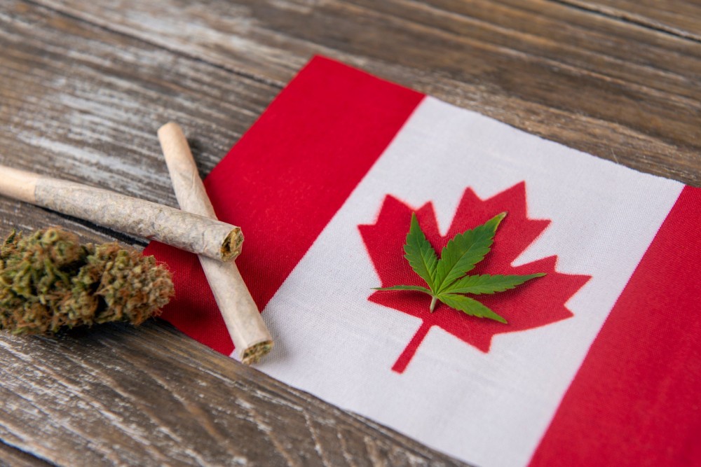 去年加拿大亦正式通過法律認可,只要是持有聯邦政府頒發許可證的商家所生產的大麻,便可以合法出售和購買